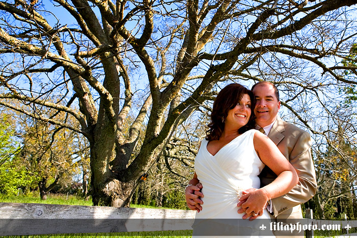 Napa Wedding Wedding Photography