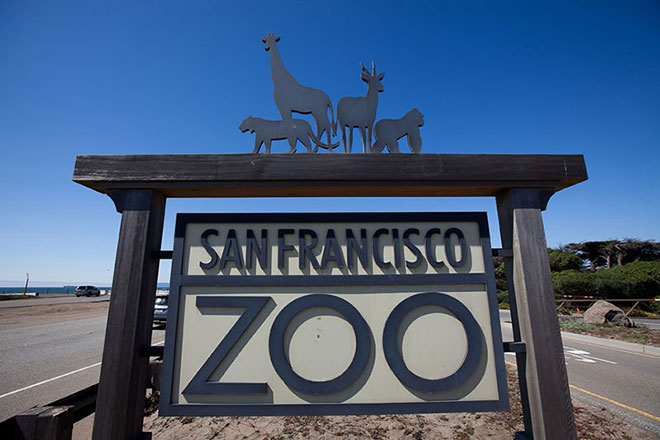 San Francisco zoo wedding