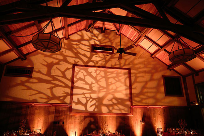 tree gobo and event lighting at San Francisco zoo wedding